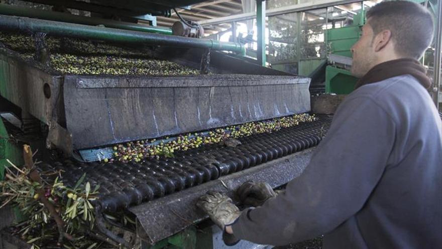 La industria agroalimentaria afianza su solidez al llegar a 896 empresas