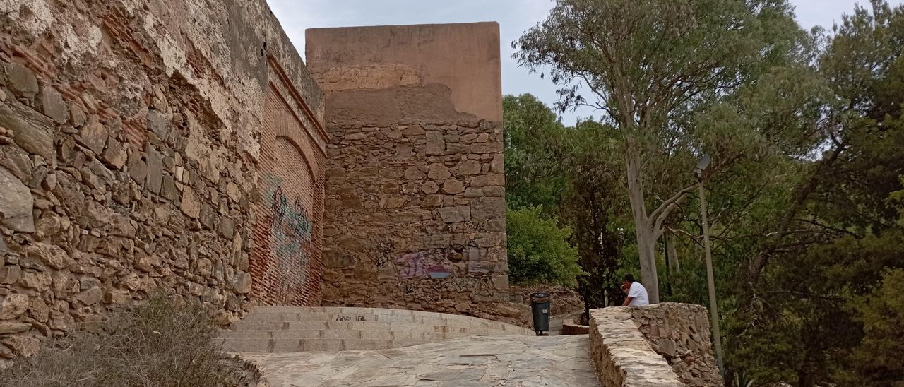 Un rincón de la coracha terrestre, ayer.