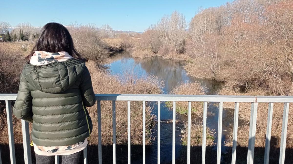 El bosc de ribera tapa el pont medieval de Castelló des del Pont Nou | GERARD BLANCHÉ