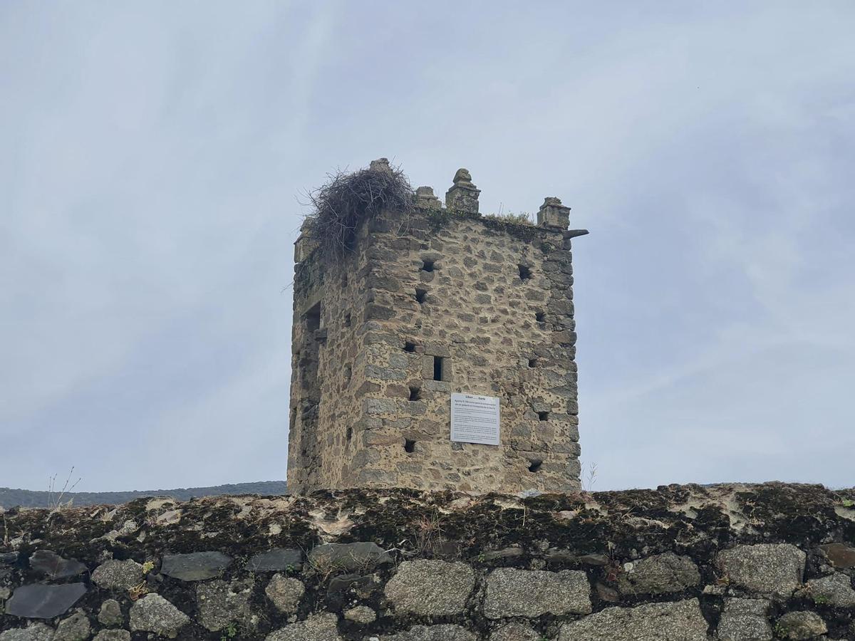 Torre. Fotografía que da idea de la grandeza del edificio.