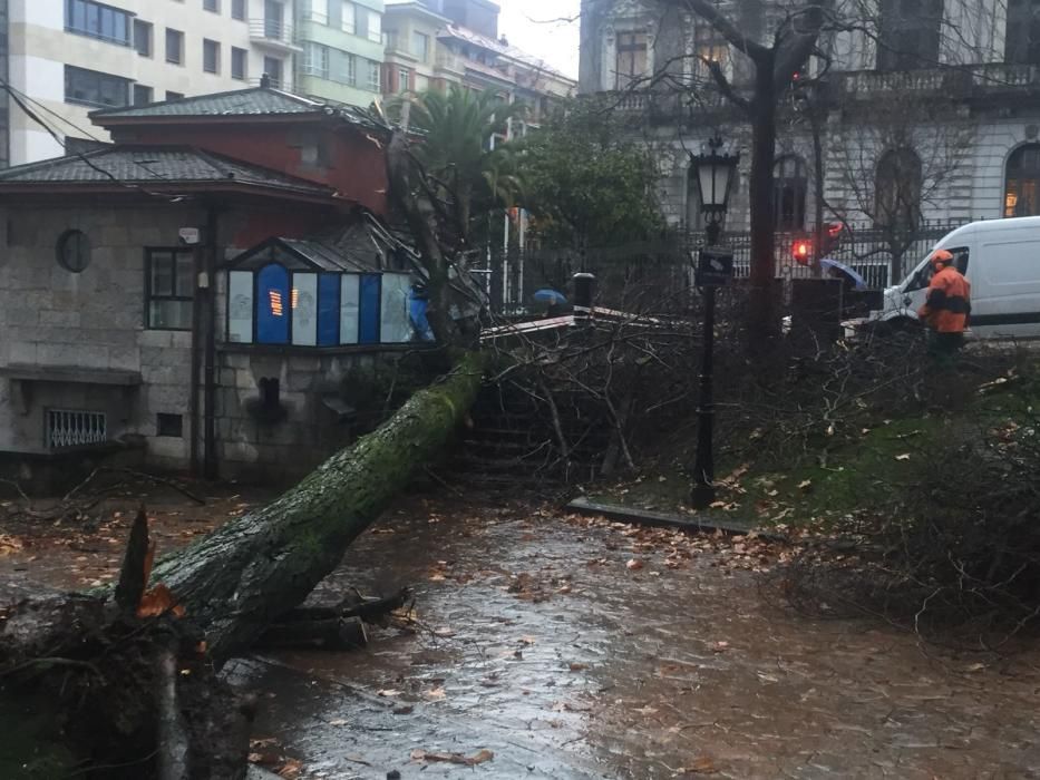 Destrozos en El Escorialín