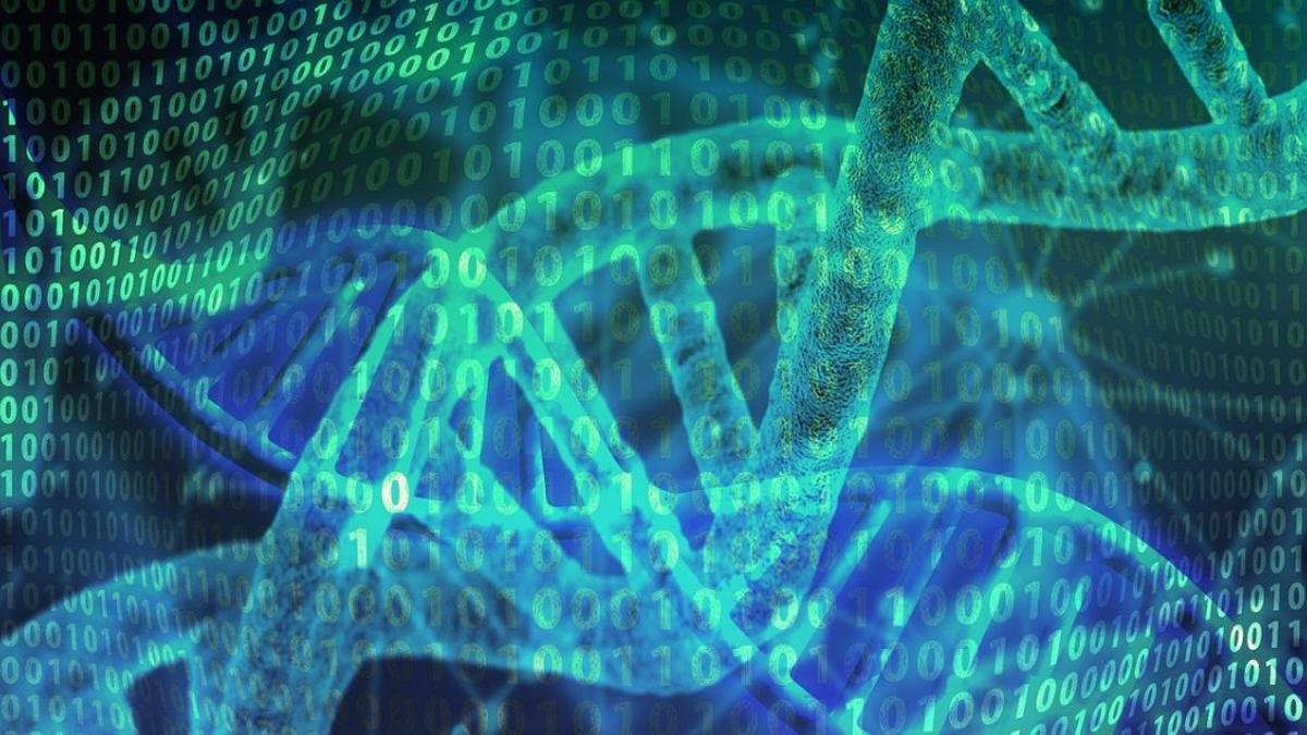 El ser humano sigue evolucionando: hallaron 150 genes que se originaron completamente desde cero, a partir de secuencias no codificantes.