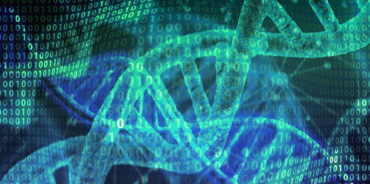 El ser humano sigue evolucionando: hallaron 150 genes que se originaron completamente desde cero, a partir de secuencias no codificantes.