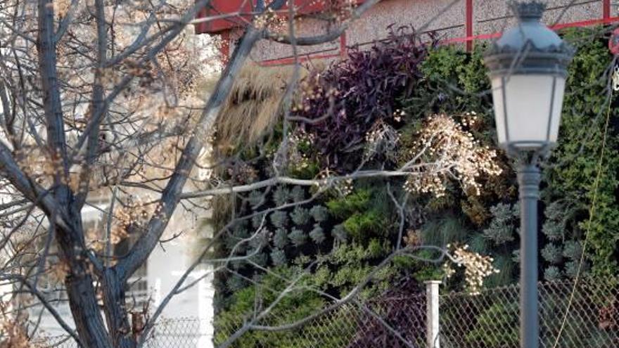 El jardín vertical del colegio CEIP Ciutat del Artista Fallero.