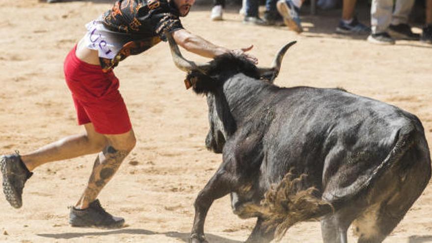 Mor un home als correbous de Llíria