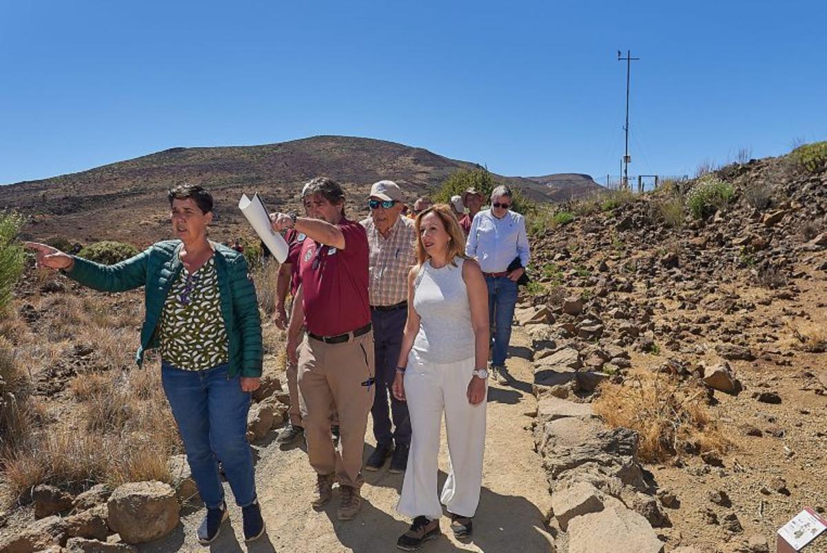 Vista parcial Parque Nacional del Teide. | E.D.
