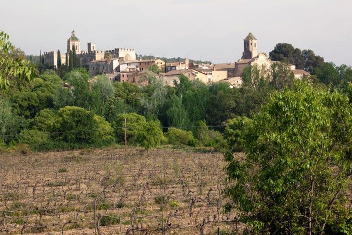 Vista panorámica del monasterio de Santes Creus.