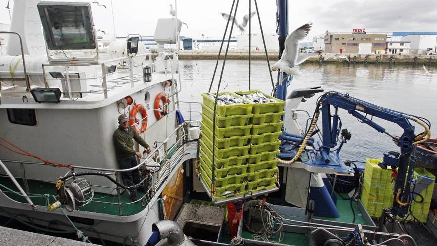 Descarga de pescado en Vigo