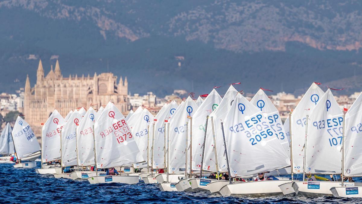 Imagen de una regata en la BahÃ­a de Palma.