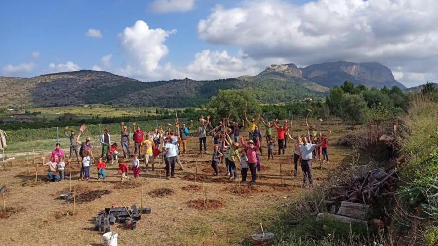 Los participantes en la plantación que tuvo lugar el pasado 13 de noviembre. | LEVANTE-EMV