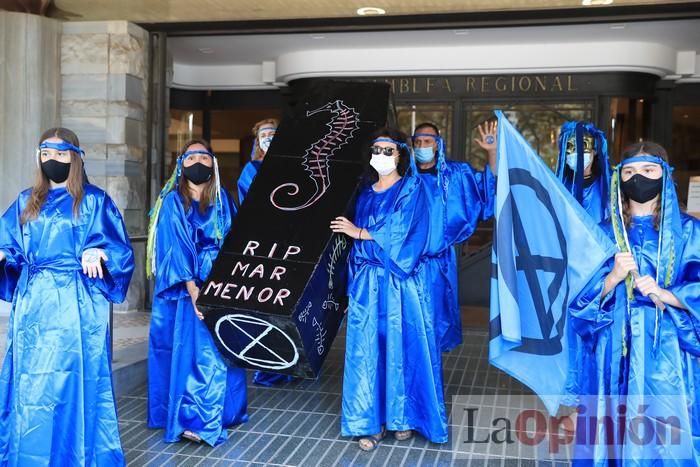 Protesta contra el estado del Mar Menor en la puerta de la Asamblea