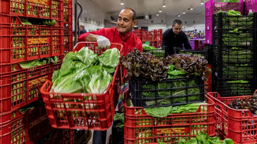 El sector primario de Mallorca se beneficia por el alza en la demanda de alimentos de los supermercados
