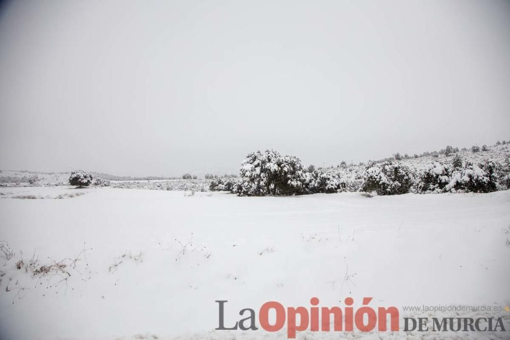 Temporal en el Noroeste (pedanías de El Moral y El