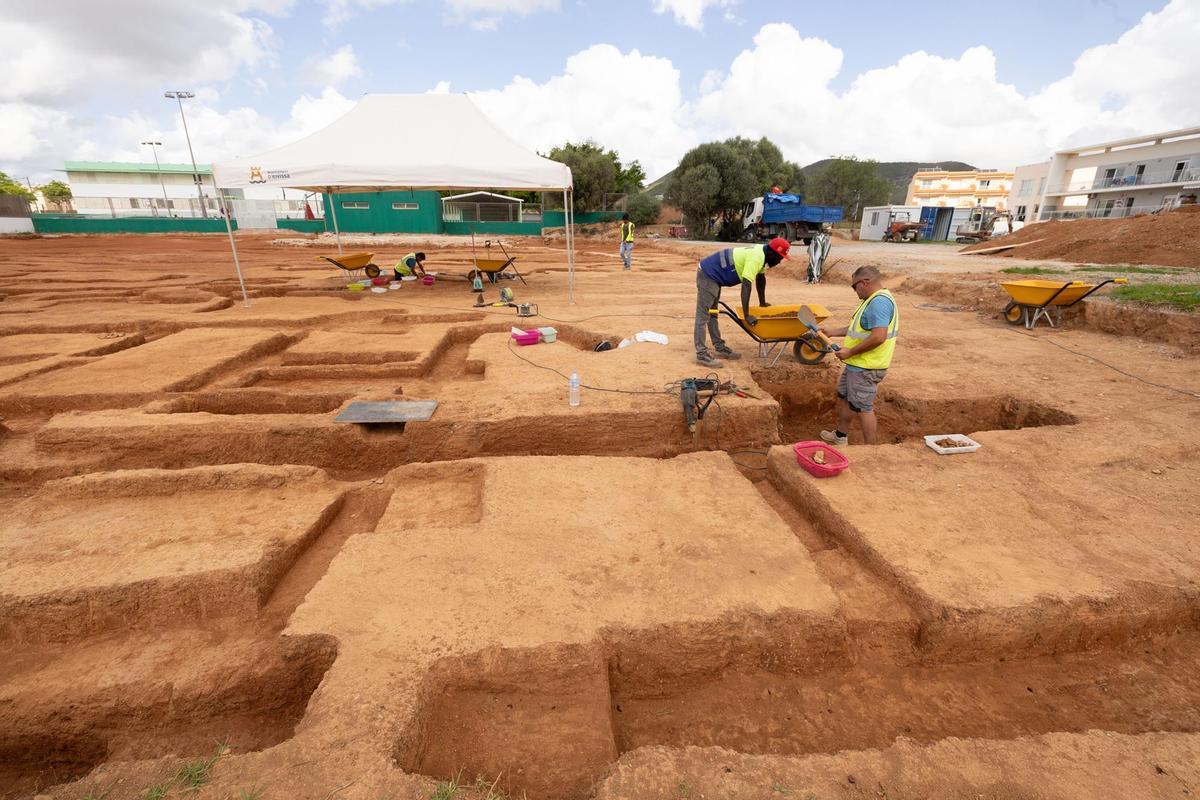 Can Cantó, una zona de cultivo para los púnicos en Ibiza