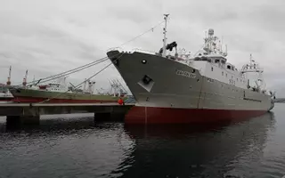 Las empresas mixtas en Malvinas inician la reforma accionarial para renovar licencias