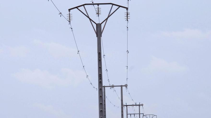 La Fiscalía refuerza la vía penal para perseguir la muerte de aves en tendidos eléctricos