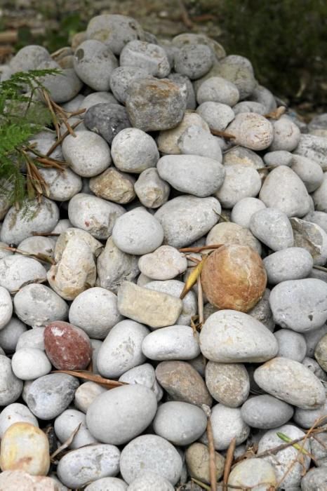 Wahre Handarbeit: Die Agavenblätter werden platt geklopft und mit einer Drahtbürste bearbeitet. Die Fasern werden danach erst getrocknet und dann wieder aufgeweicht, um Strick und Schlinge zu flechten.