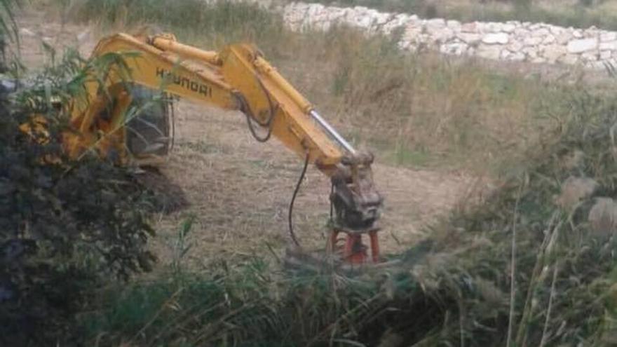 La CHS limpia el cauce del río Segura en Mula