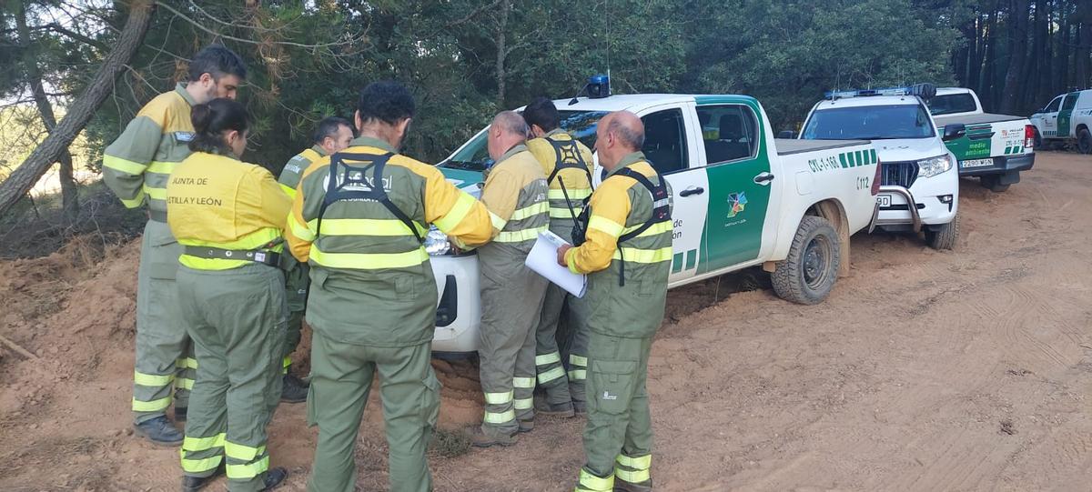 Relevo en el incendio de Rábano.