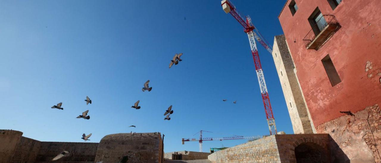 Bandada de palomas en Dalt Vila