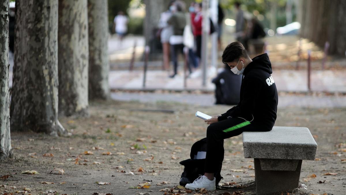 Un joven repasa unos apuntes en un banco.