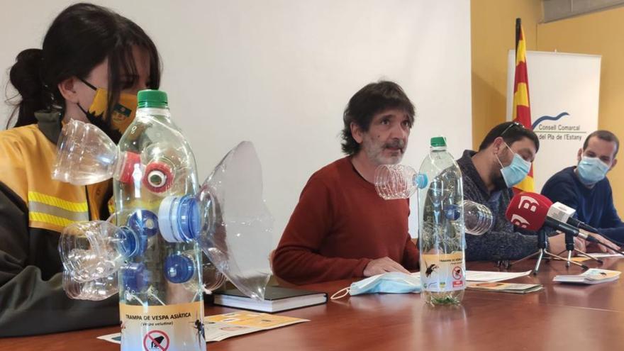 Campanya per implicar la població en la caça de vespes asiàtiques al Pla de l’Estany