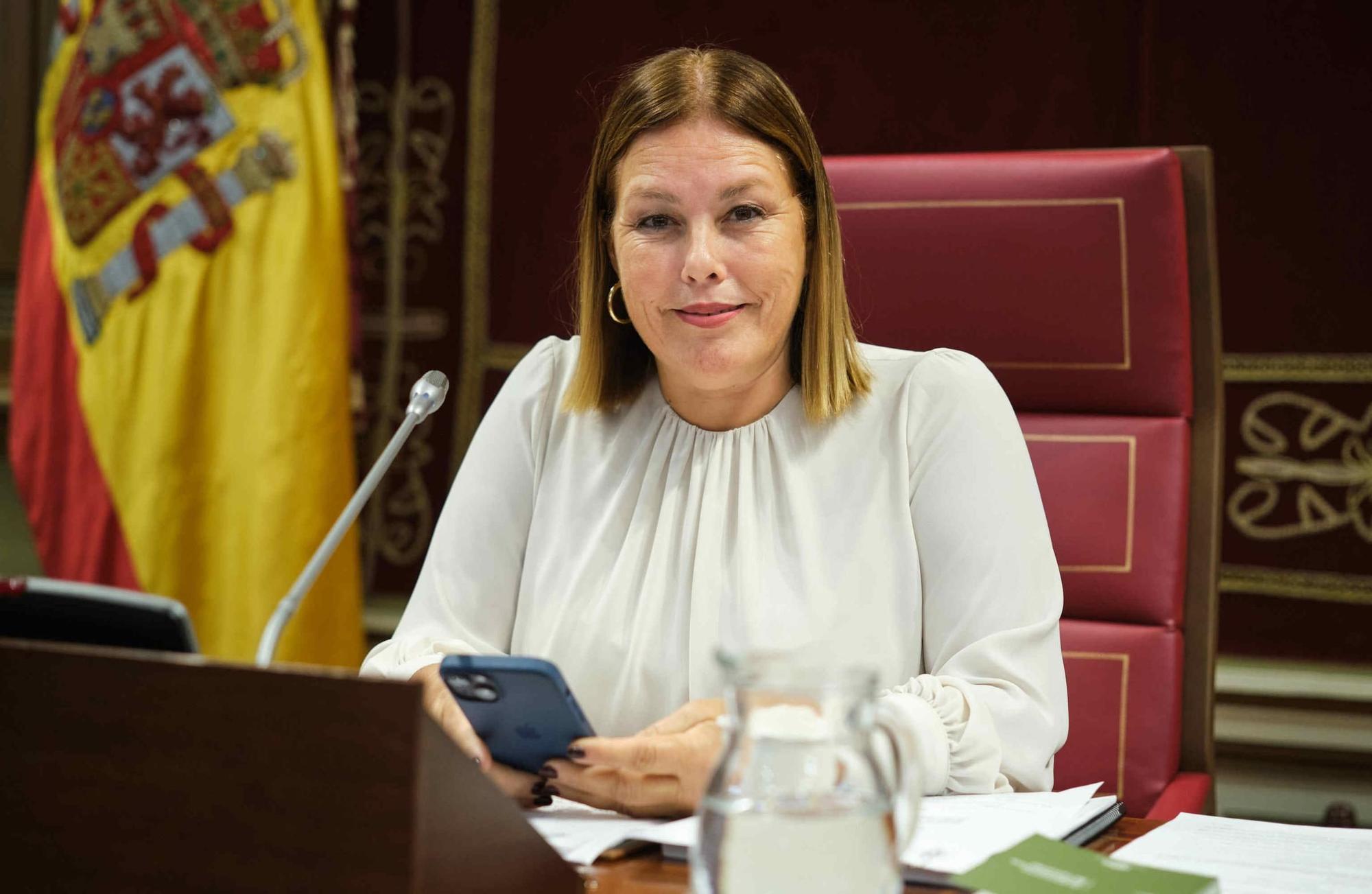 Pleno del Parlamento de Canarias