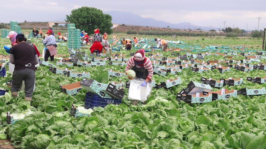 Trabajadores en el campo, en una foto de archivo.