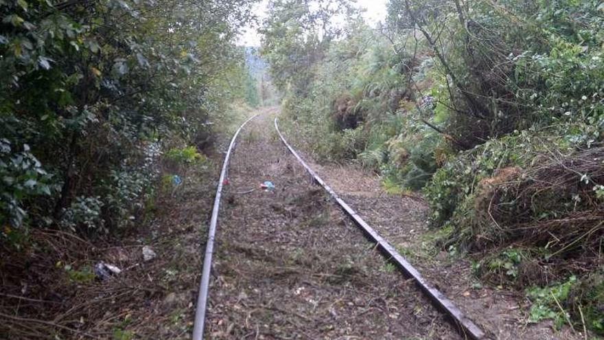 La antigua vía del tren desbrozada en la zona de Godos. // Noé Parga