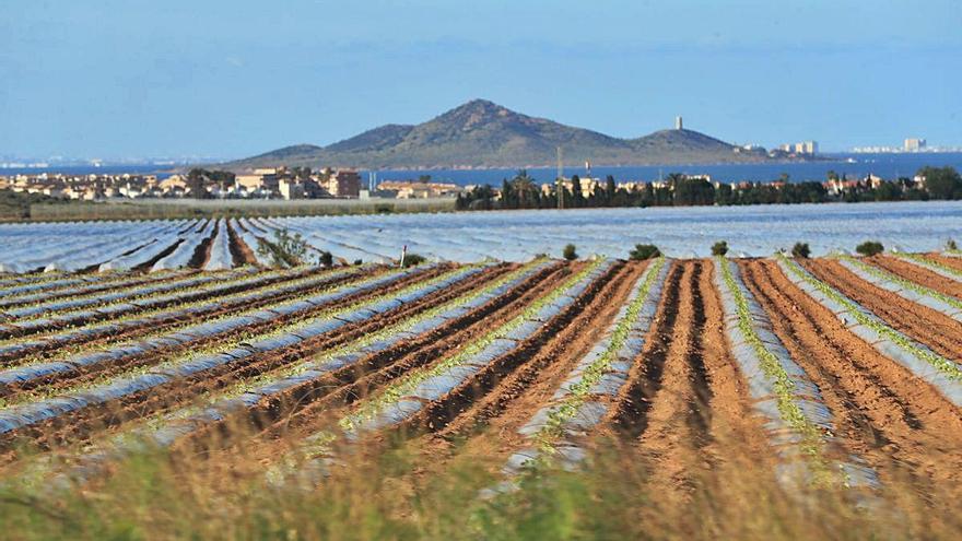 El contador de la Ley del Mar Menor se ha puesto en marcha