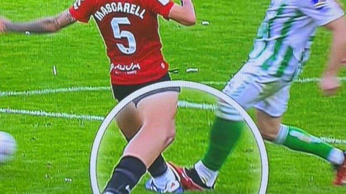 La acción que provocó la expulsión de Mascarell