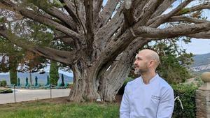 El cocinero Sergi Olmedo, ante un árbol con 500 años en el Hotel Son Net.
