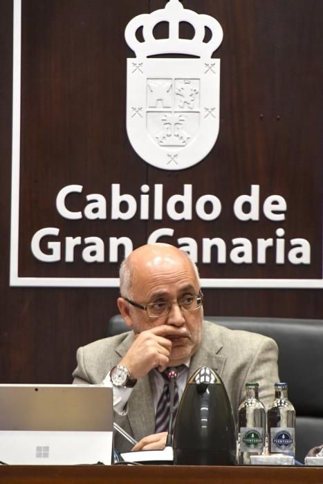 31-01-20 GRAN CANARIA. CABILDO INSULAR. LAS PALMAS DE GRAN CANARIA. Pleno del Cabildo.     Fotos: Juan Castro.  | 31/01/2020 | Fotógrafo: Juan Carlos Castro