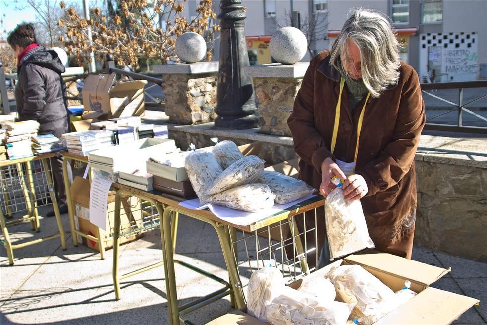 Romería de San Blas 2019