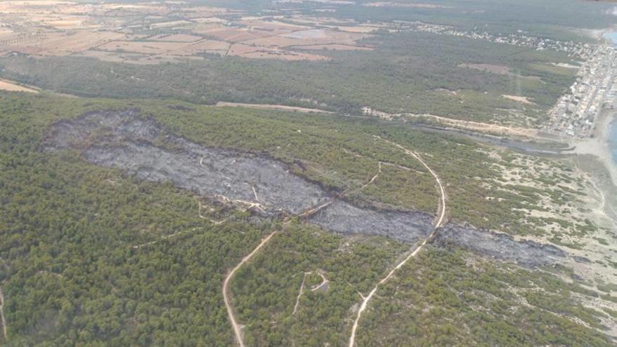 Vista aérea del pinar afectado por las llamas en el incendio en sa Canova.