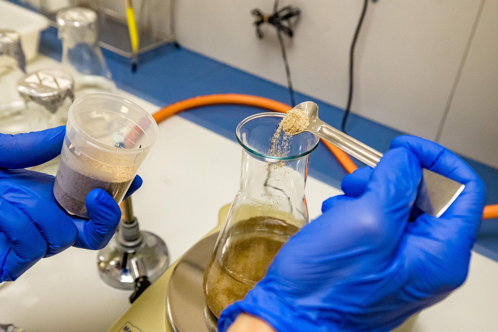 Benidorm analiza semanalmente en su laboratorio el agua de sus playas, la arena y los lavapiés para garantizar su calidad.