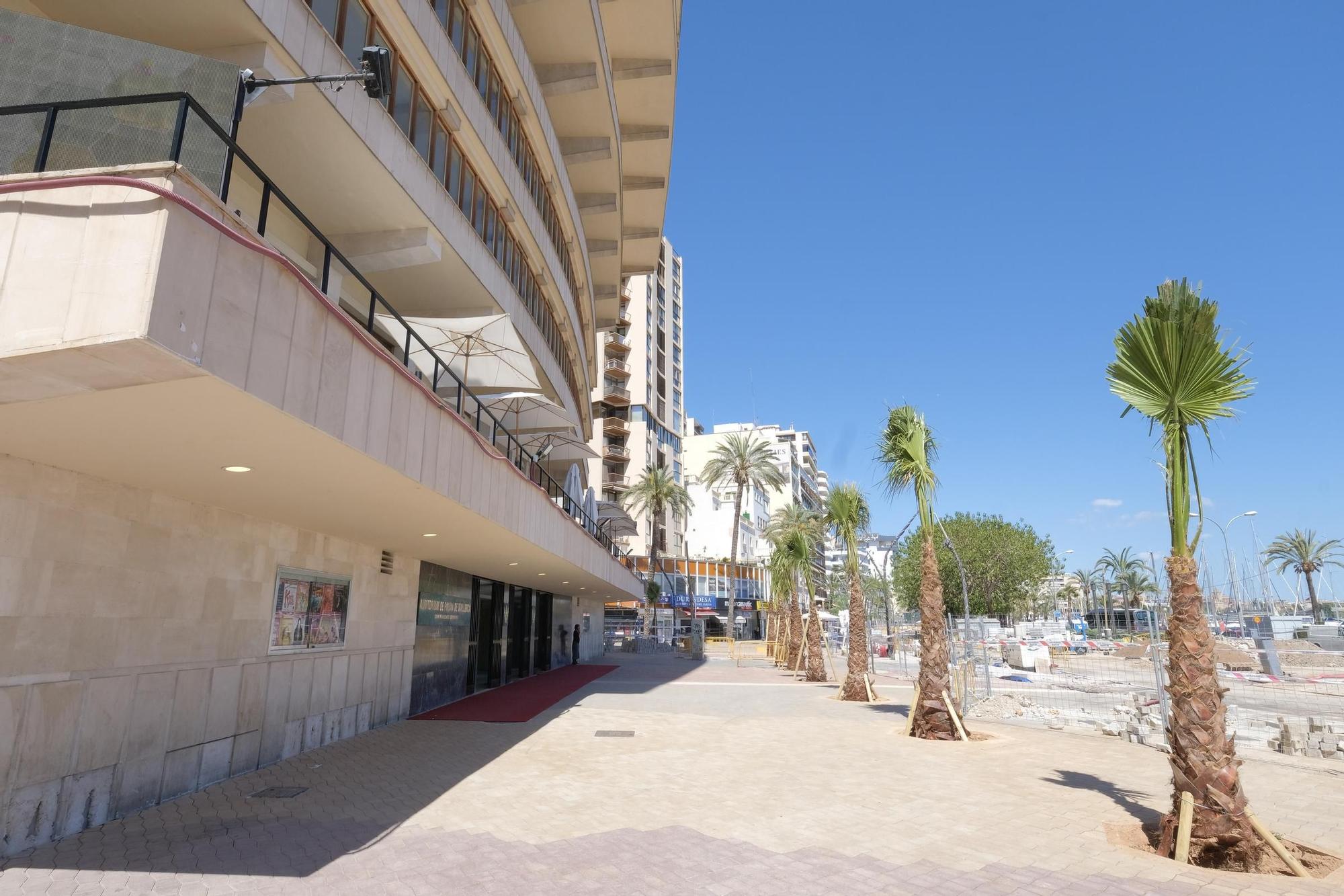 Obras en el Paseo Marítimo: Las fotos de las 29 palmeras plantadas frente al Auditòrium