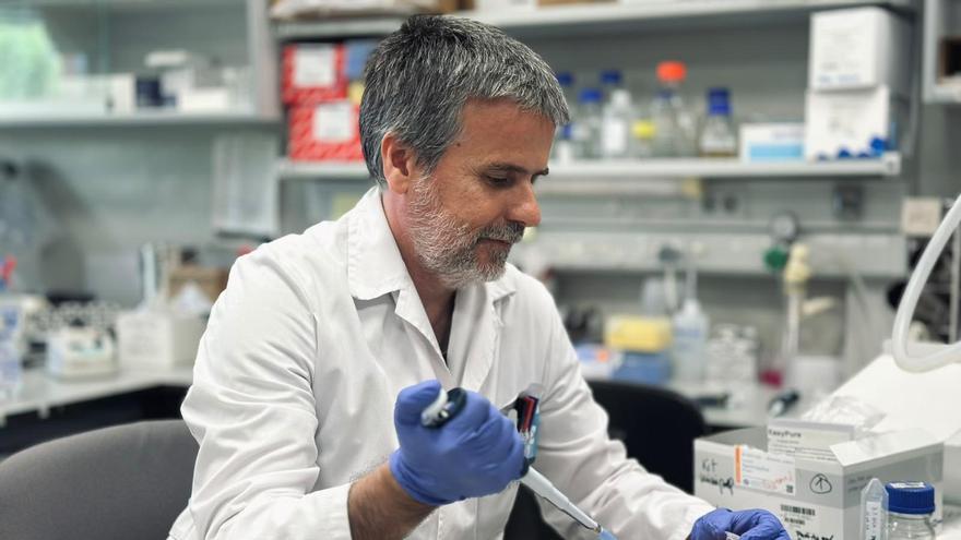 Vídeo | Un equipo de investigadores sevillanos lidera un proyecto pionero para mejorar la radioterapia