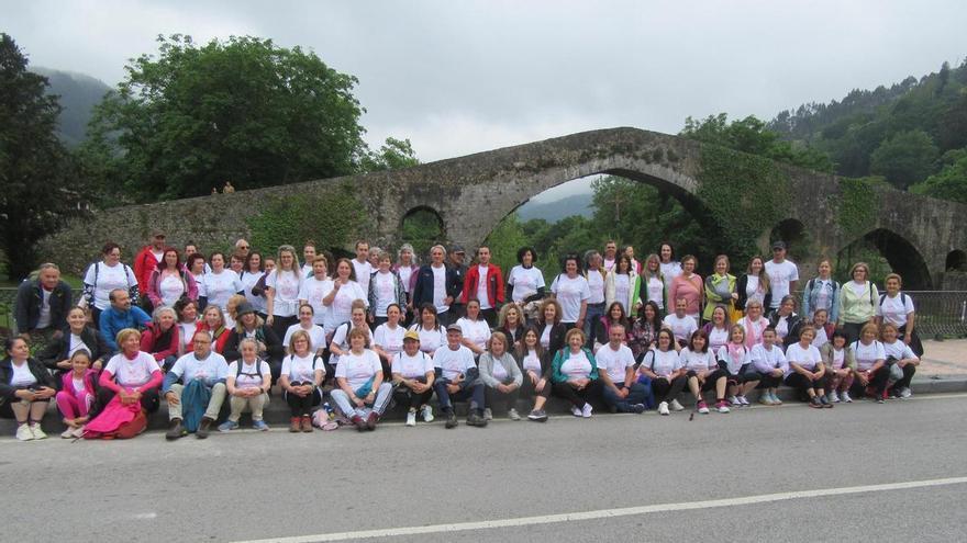 Marcha solidaria a Covadonga del colectivo Rosa Palo