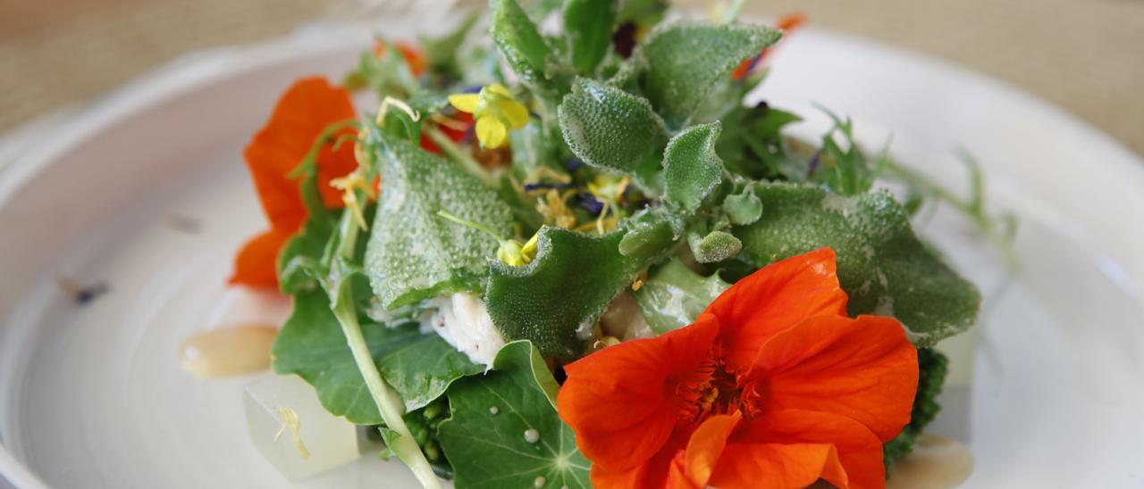 Im Terra wird jetzt mehr auf pflanzliche Zutaten gesetzt. Hier: Rochen-Salat mit Eiskraut und Blüten.