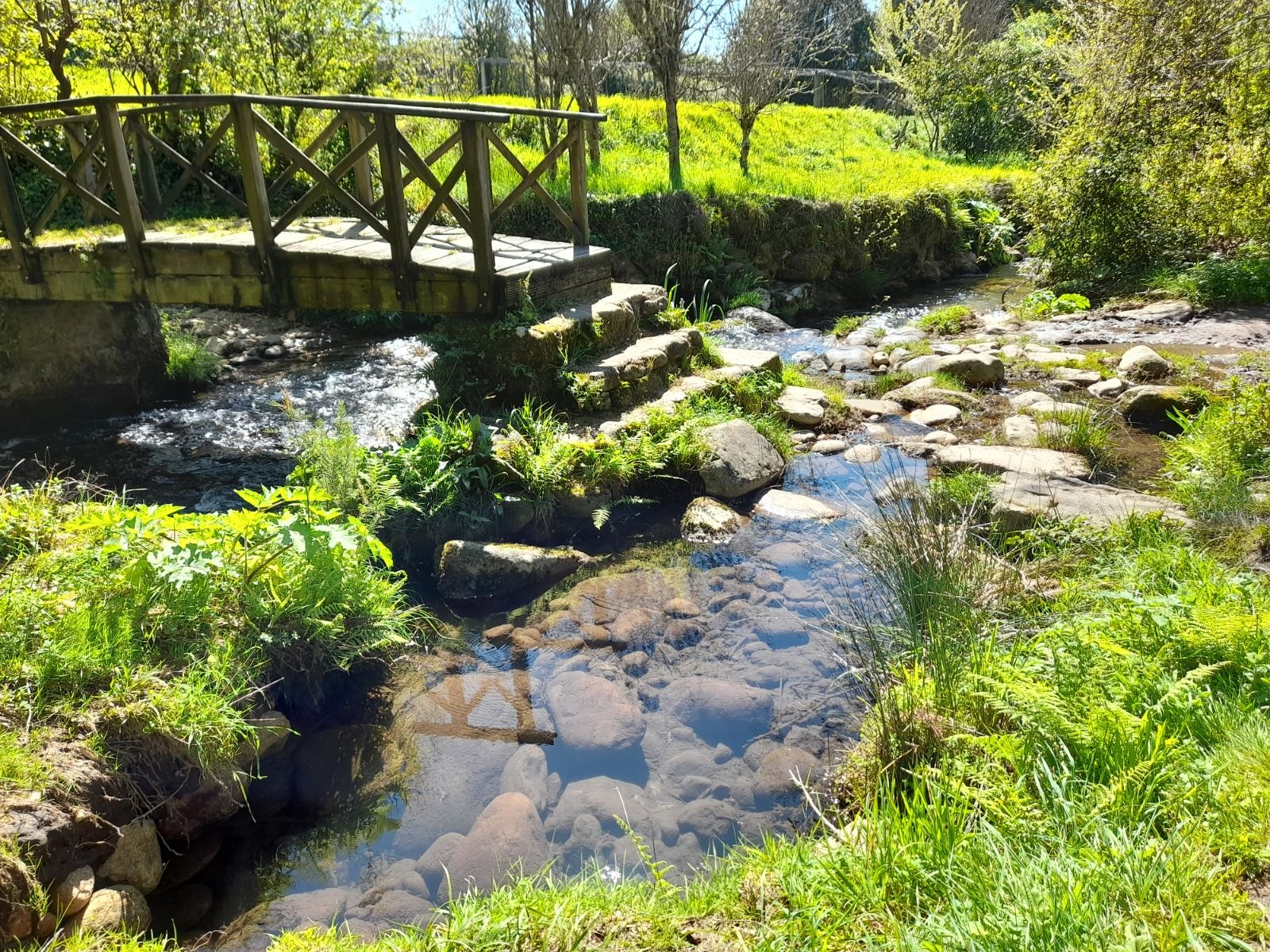 Una imagen de un tramo del sendero de A Fraga.