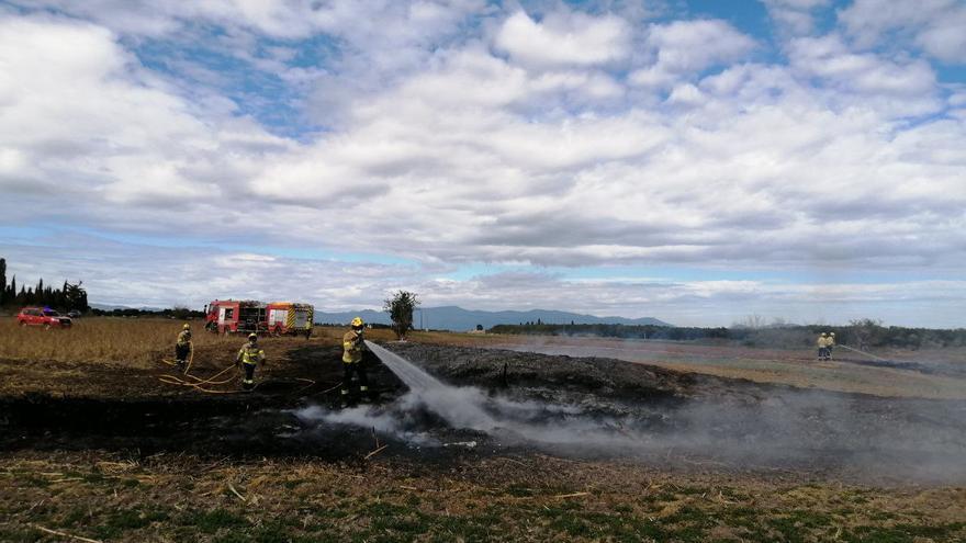 Cremen 1.000 m2 de vegetació d&#039;un camp a Riumors