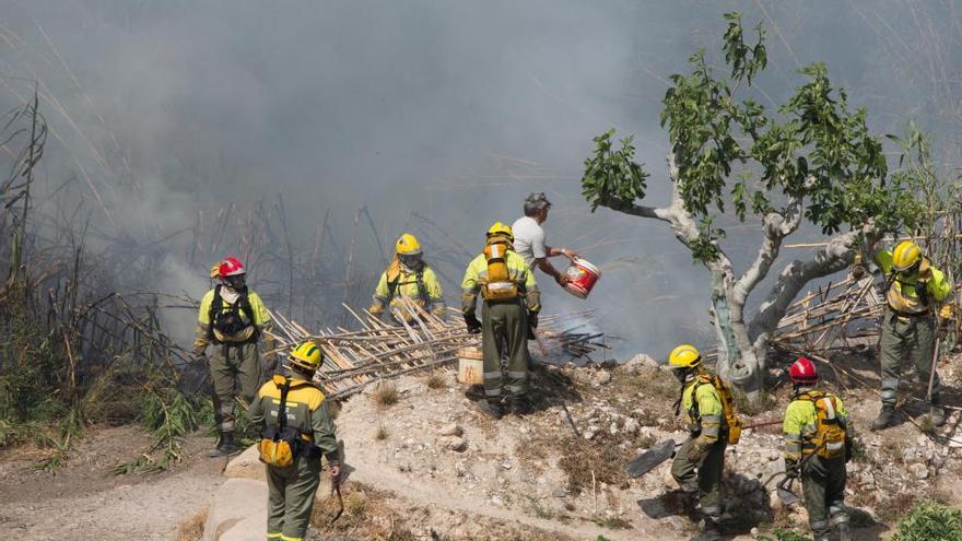 Incendio junto al río Argos en Cehegín