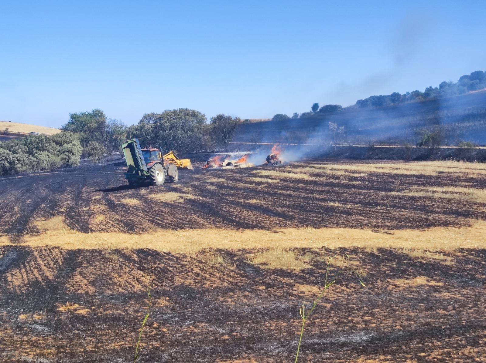GALERÍA | El incendio forestal de Manganeses de la Polvorosa en imágenes