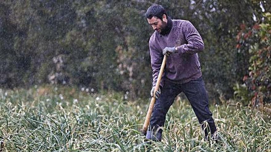 L&#039;interès pel món de pagès, a l&#039;alça durant els últims anys a Catalunya