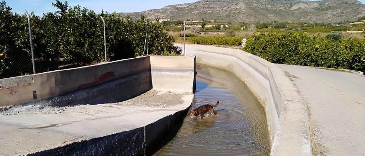 Una acequia vital para el riego de las cosechas del valle de Càrcer y Villanueva de Castellón