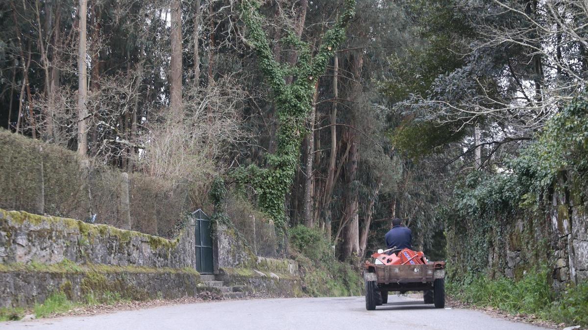 Reboreda deberá mantener limpias las fincas a 50 metros de las casas.