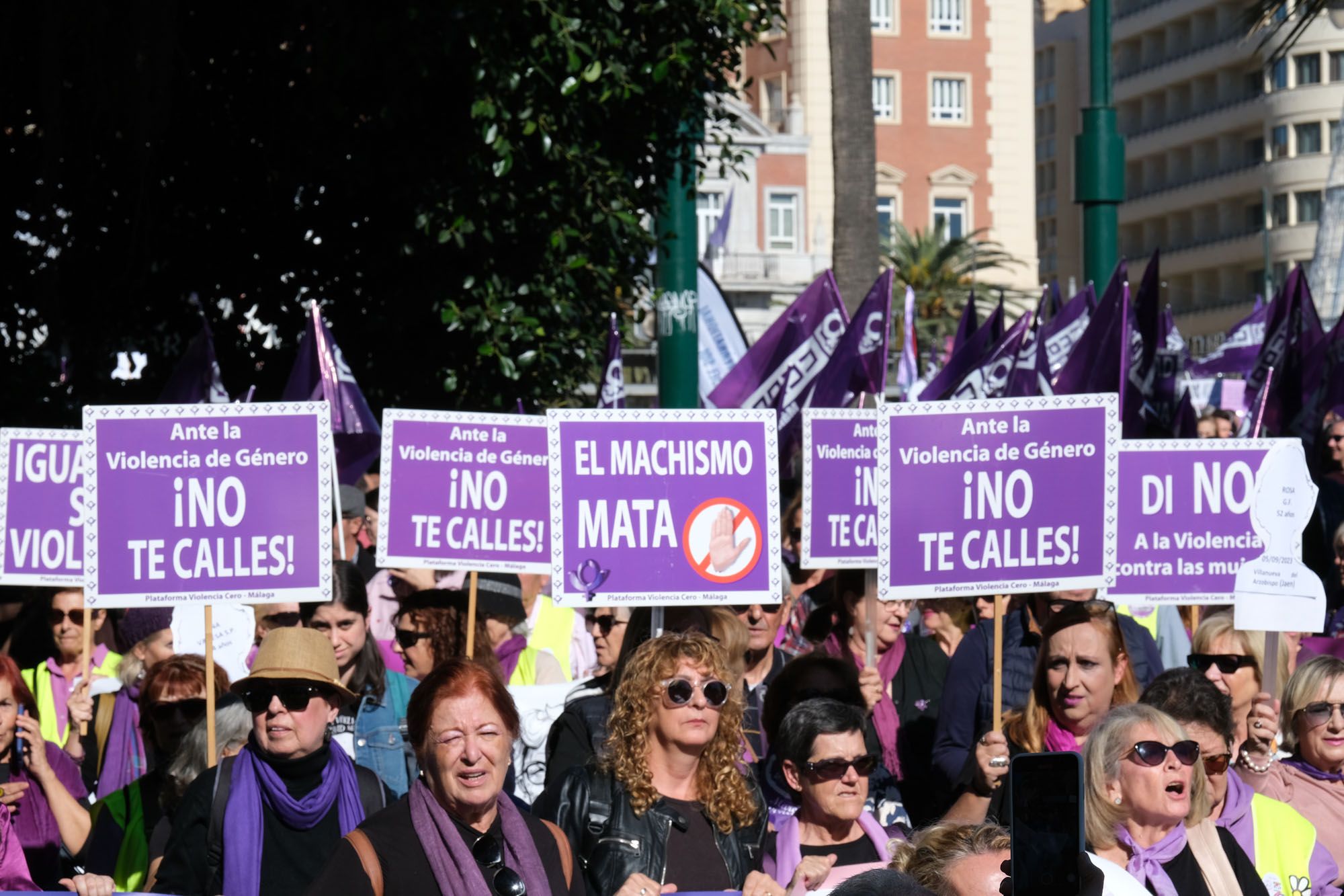 La marcha del 25-N en Málaga por el Día de la eliminación de la violencia machista contra las mujeres, en imágenes