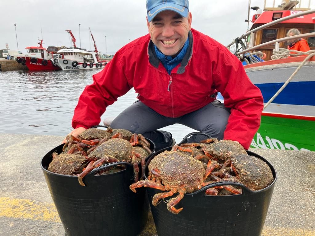 Descargas de centollo en el puerto de O Grove, esta tarde.