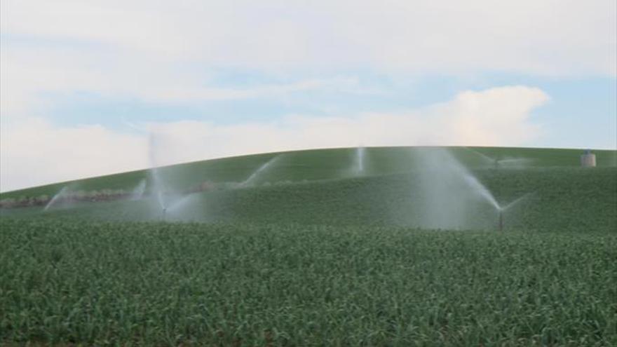 La Confederación sube la dotación de agua para riego hasta los 5.400 metros cúbicos por hectárea